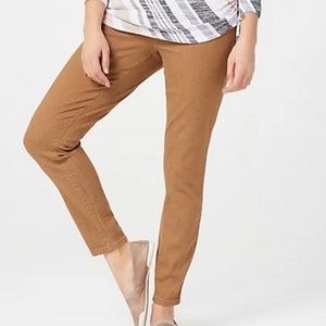 Denim & Co. Petite Classic Waist Stretch Jeggings 2XP Chestnut